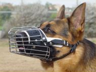wire muzzle on german shepherd